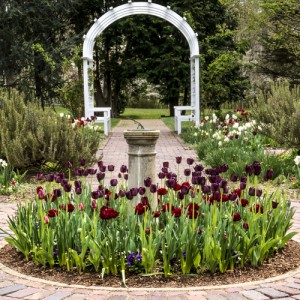 Grace Arents Garden arch