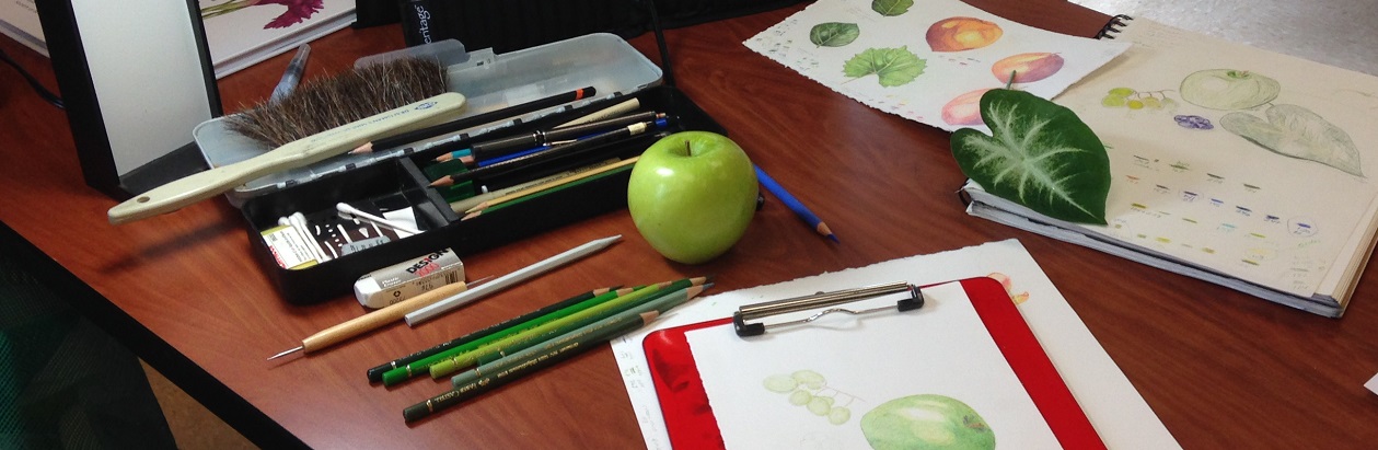 Colored Pencil Class