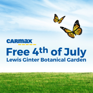 CarMax Free Fourth of July