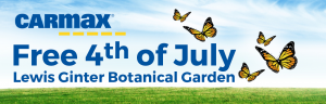 CarMax Free Fourth of July