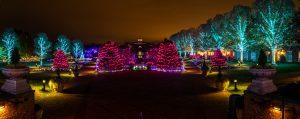 Flowers at Dominion Energy GardenFest of Lights. Image by Tom Hennessy