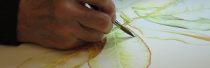 Introduction to Watercolor for Botanical Illustration