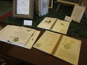 display of nature journals in the library