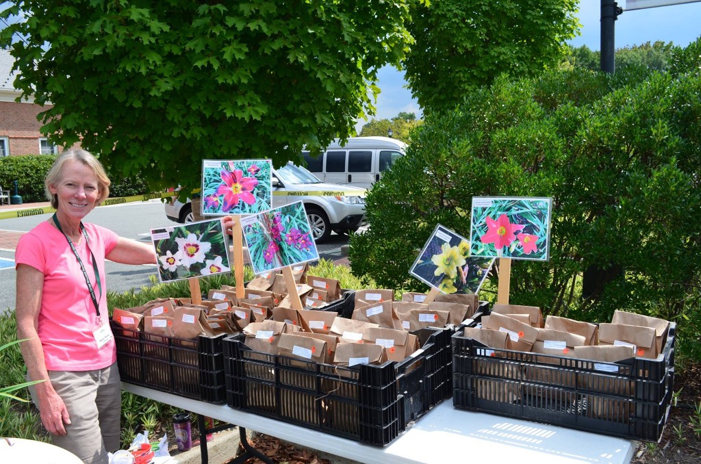 Lewis ginter plant sale