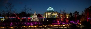Moon & Conservatory at Dominion GardenFest of LIghts by Sarah Hauser