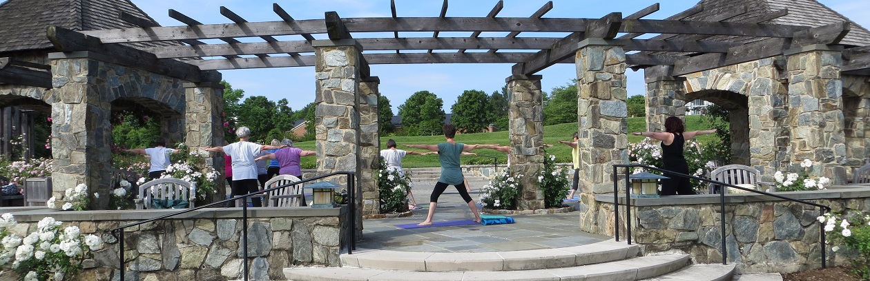 Rose Garden Yoga Lewis Ginter