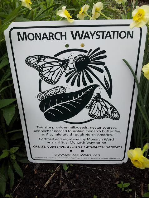 monarch-waystation