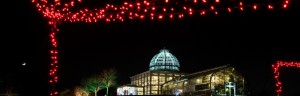 Conservatory at Lewis Ginter during Dominion GardenFest of Lights