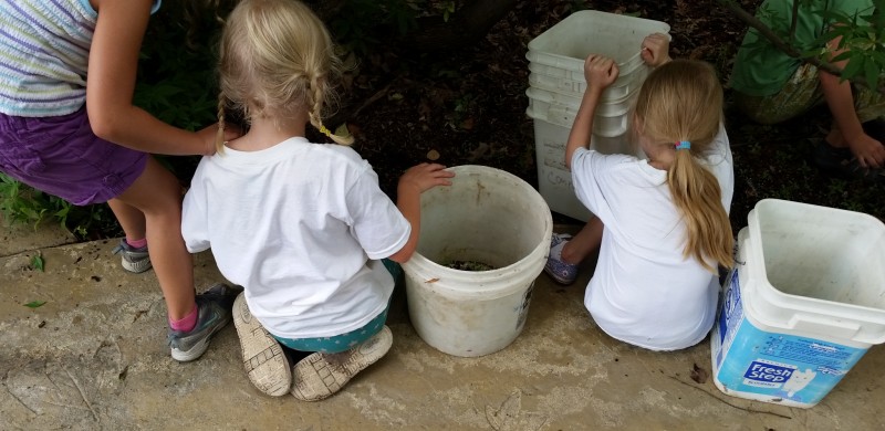Girls volunteering in the Children's Garden.