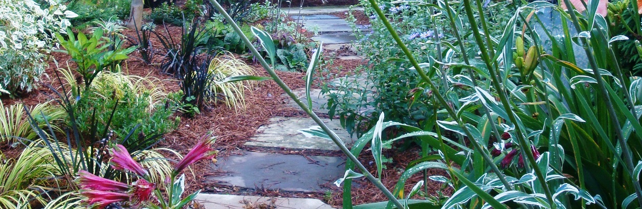 Vines and Groundcovers