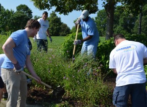 Carmax Volunteers