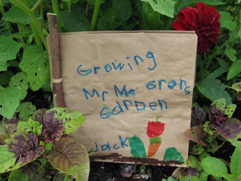 Making journals encouraged the 4- and 5-year-olds to practice early literacy skills, document the week to share with their families, and express their creativity. 