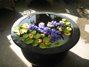 Still-water fountain with flowers at Chanticleer Gardens, Wayne, Pa.