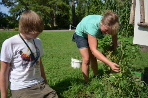 Teen Summer Camp Volunteers