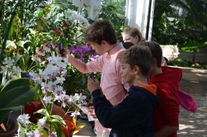 boys looking at orchids