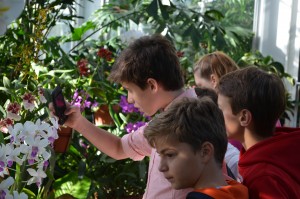 Tweens looking at orchids