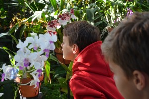 tween smelling orchid