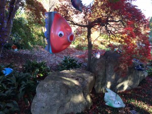 Bottle fish hanging in trees