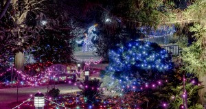 unicorn Photo by Don Williamson 3000