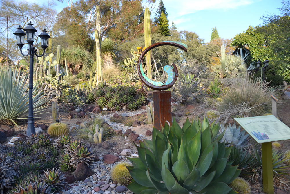 Cacti display at San Diego Botanic Garden