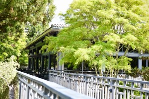 Outside of the Robins Tea House. Image by Sweet Memories Photography by Naomi Phelps