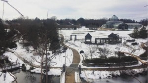 looking down on Lewis Ginter Botanical Garden from the top of a tree. Photo by GardenFest arborist Matt Lee.
