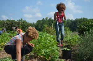 Visually impaired individual works in the garden.