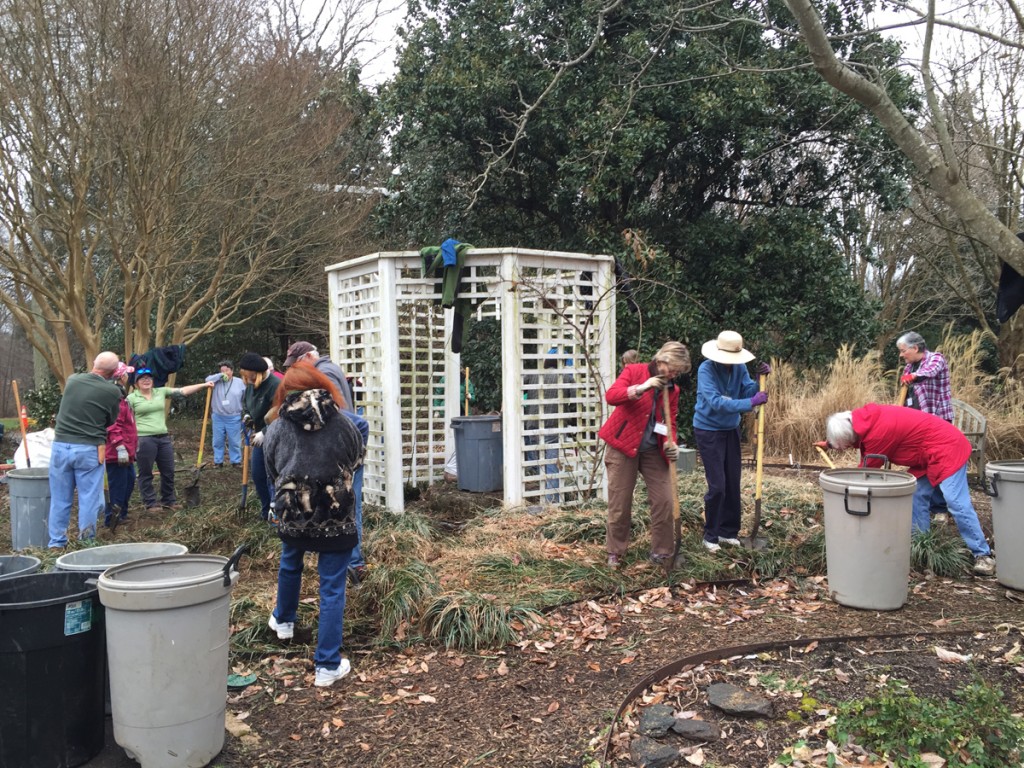 Volunteers and staff landscaping the white garden. 