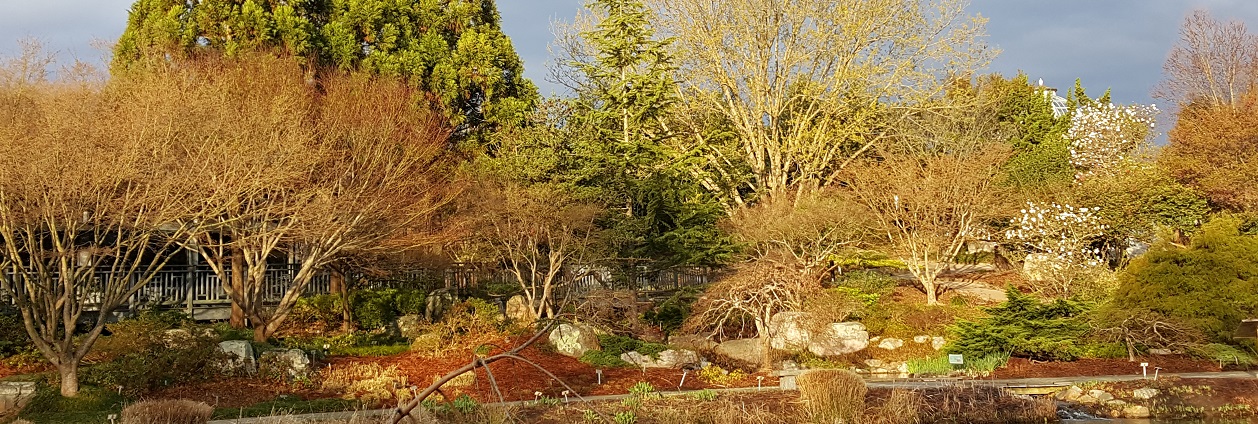 Plants for 9 to 5-ers