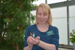Anna Estep, butterfly curator