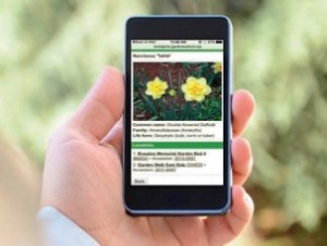 Garden Explorer Mobile