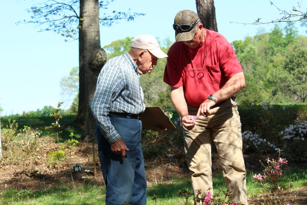 Lewis Ginter Nature Reserve gardener Wes Morgan and Father Roy Cosby identify azaleas