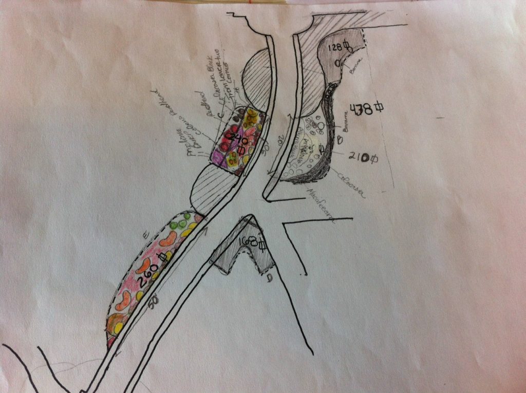 Main Garden Walk bed drawing