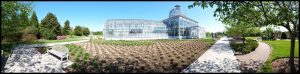 Conservatory grasses