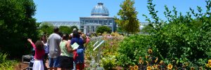 people enjoying the Central Garden on a free admission day