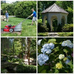 lawnmower lego brick sculpture, lace house, dot's garden, hydrangea