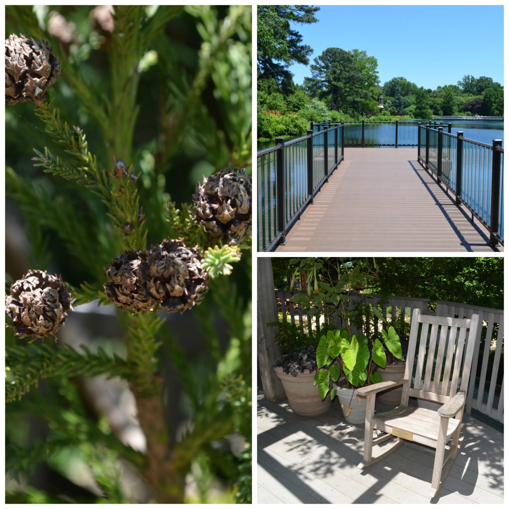 chance dock, rocking chair, and pine tree collage