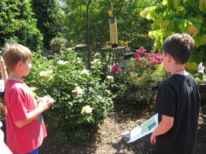 Spotted: the Goldfinch sculpture!