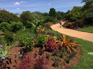 Main Garden Walk at Lewis Ginter Botanical Garden showing the Garden Design.