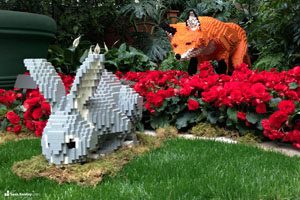nature connects fox and rabbit