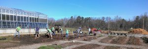 Shoveling in the Community Kitchen Garden