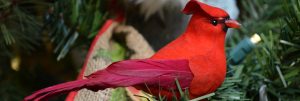 Red cardinal ornament you'll find these and more at Cheers to Shopping