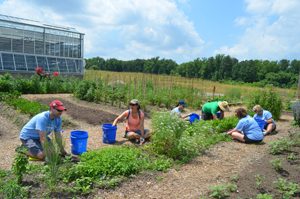carmax associates volunteering in the ckg