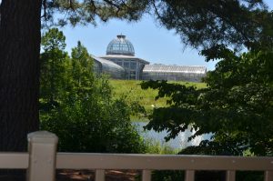 conservatory from across the garden