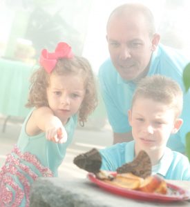 lewis ginter botanical garden butterflies live