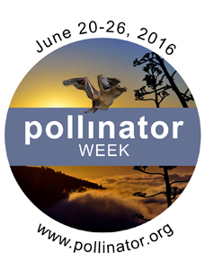 pollinator week 2016 logo