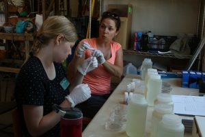 Schumm instructed McClanahan on how to conduct the E.coli test on the water sample. Schumm got a 3 milliliter sample of water and added it to a coliform growth medium used for the differentiation of E. coli from other bacteria. Once added, each sample was poured in a petri dish and incubated for 24 hours .