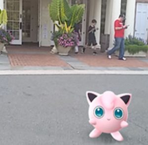 Pokemon Jigglypuff at Lewis Ginter Botanical Garden