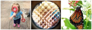 #bflies butterflies instagram contest collage