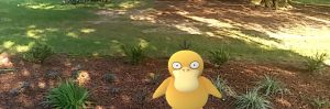 Screenshot of Pokemon Go Psyduck